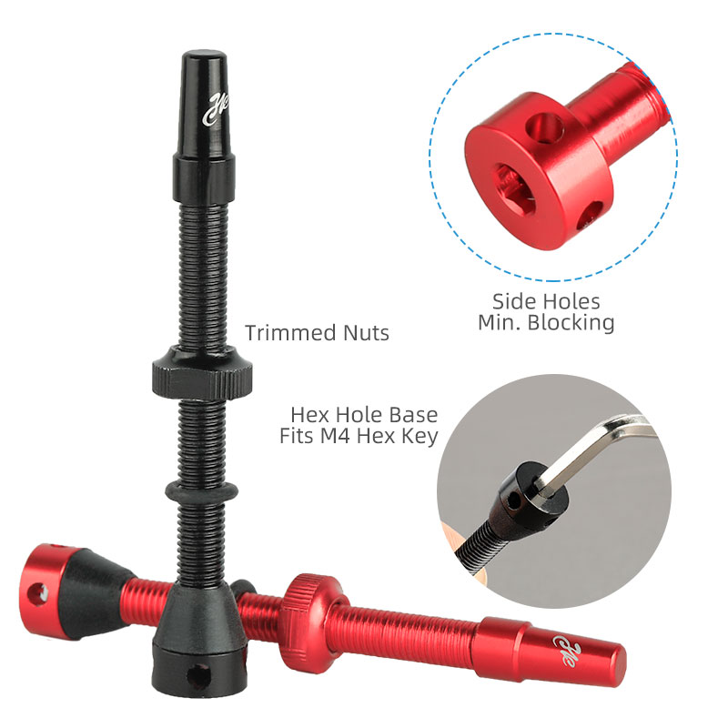 Deemount-válvulas Presta de ll - Tubeless Valve Core reseña y precio