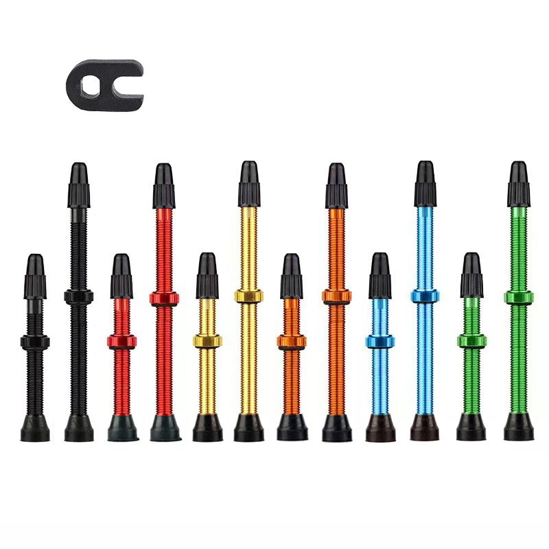 Vástagos de válvula Presta par - Tubeless Valve Core reseña y precio