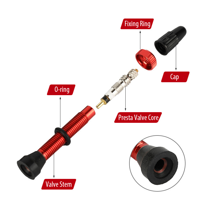 Vástagos de válvula Presta par - Tubeless Valve Core reseña y precio