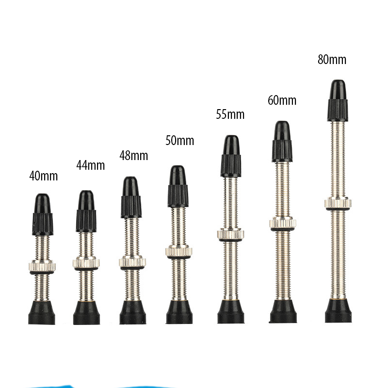 Vástagos de válvula Presta par - Tubeless Valve Core reseña y precio